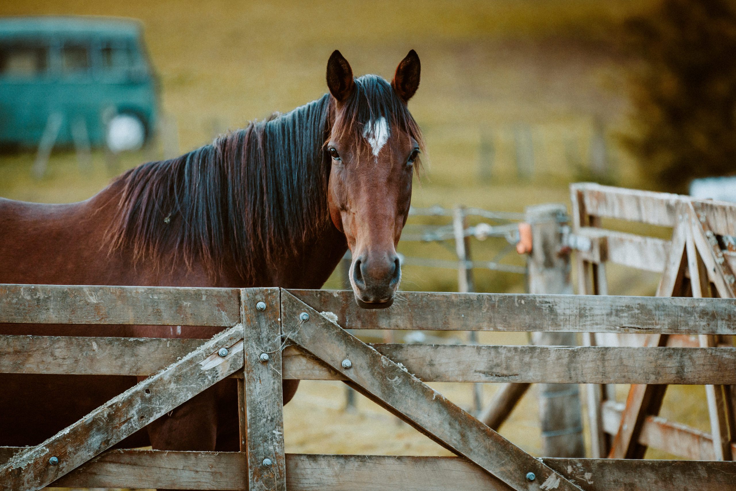 Home | Fossil Creek Farm