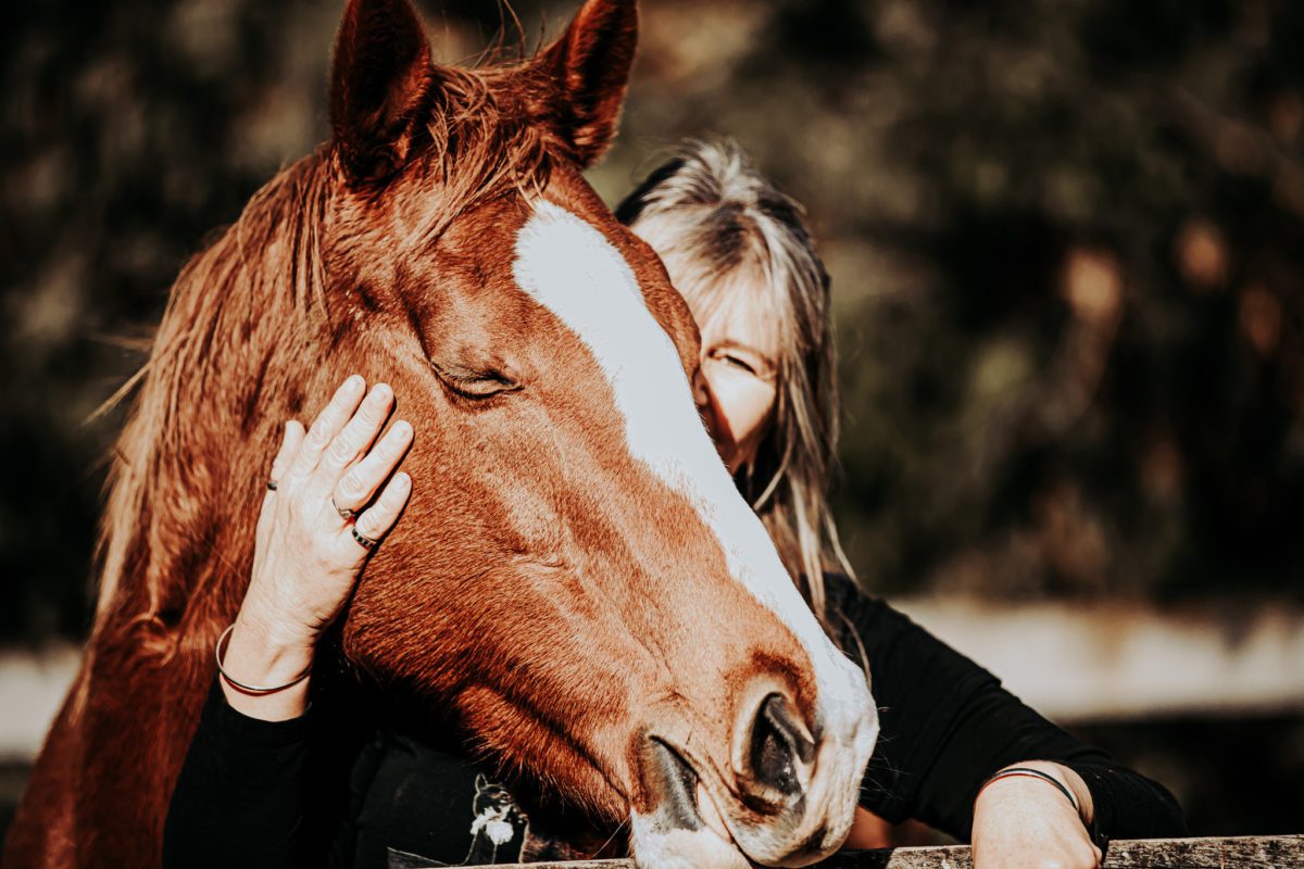 About Fossil Creek Fossil Creek Farm